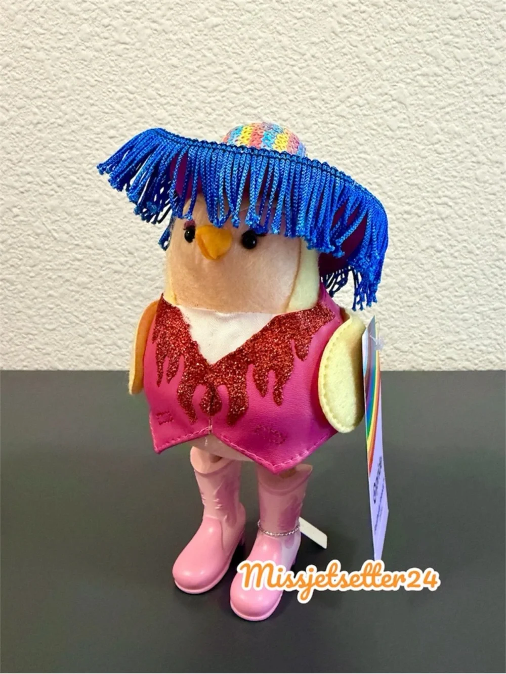 Target Featherly Friends PRIDE Chappell Roan Cowgirl Bird New Western Rainbow